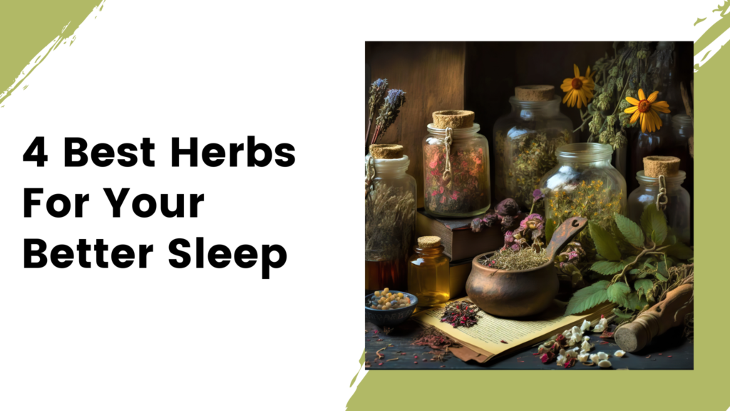 4 Best Herbs For Your Better Sleep